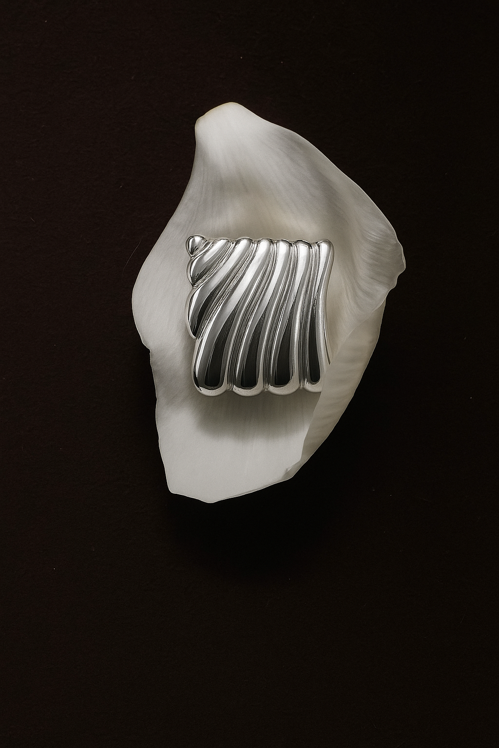Angel Earrings Silver