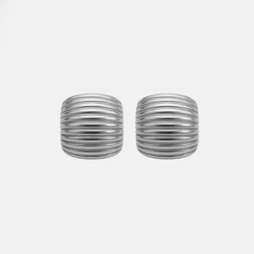 Gina Earrings Silver